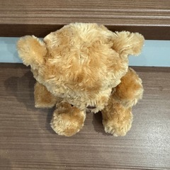 テディベアの画像
