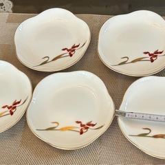 綺麗な和皿の画像
