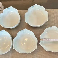 綺麗な和皿の画像