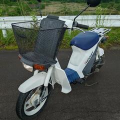 スズキ スーパーモレ FA14B 実働