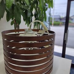 シーリング　照明器具