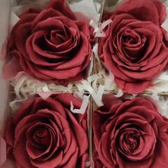 プリザーブドフラワー　大輪　薔薇　クランベリーの画像