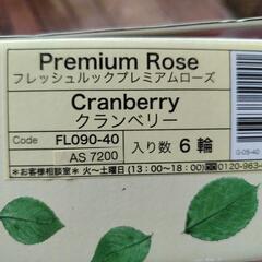 プリザーブドフラワー　大輪　薔薇　クランベリーの画像