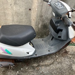 jog pocheの画像