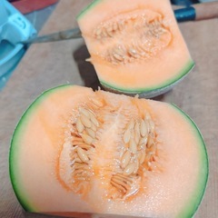 マルセイユメロン
の画像