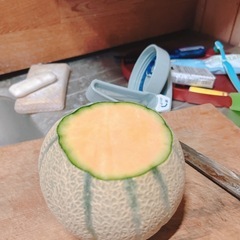 マルセイユメロン
の画像