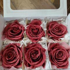 プリザーブドフラワー　大輪　薔薇　クランベリー