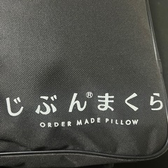 レッキス掛カバーSL150x210SN5.CL品番 CSNREXCO-LGY-Sの画像