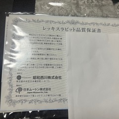 レッキス掛カバーSL150x210SN5.CL品番 CSNREXCO-LGY-Sの画像