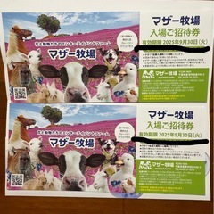 マザー牧場 入場券2枚