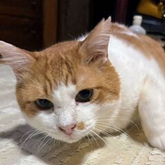 再投稿：愛情を与えて下さる方に♡