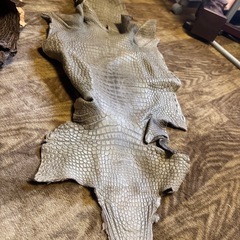 ⭐︎動物の皮⭐︎の画像