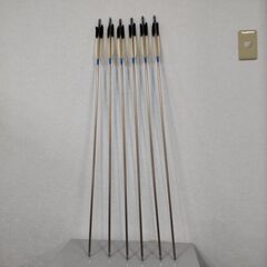 弓道　矢　EASTON 1913 XX75  ６本　ケース付