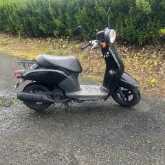 ホンダトゥデイの画像