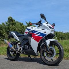 ホンダ CBR125R カスタム モリワキマフラー 埼玉 実走行車 cb125rの画像