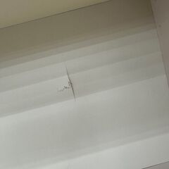 ★リユースのサカイ高崎店★TJ11921  本棚 白 H98.5×D36×W91 クリーニング済みの画像