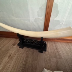 ⭐︎何かの牙のオブジェ⭐︎