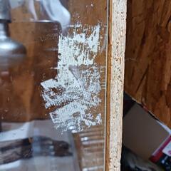 爬虫類ケージの画像