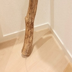 流木 約150cm 特大の画像
