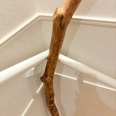 流木 約150cm 特大の画像