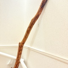流木 約150cm 特大の画像