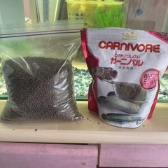 鯉のえさ、肉食魚用のカーニバル