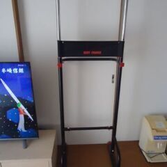 ぶら下がり健康器　スリム・コンパクトタイプ　中古美品　引っ越しセールの画像