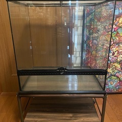 爬虫類 エキゾテラ ガラスケージ