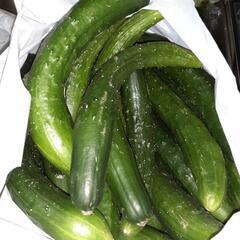 きゅうりと交換してくれませんか？