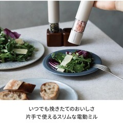 【新品】レコルト 電動ソルト＆ペッパーミルミニの画像