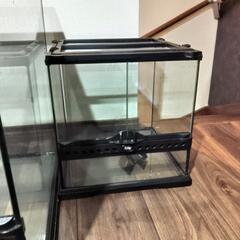 エキゾテラ　グラステラリウム3030美品