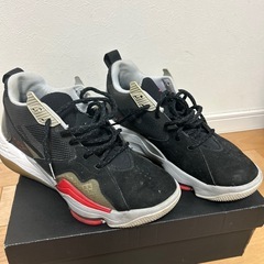 ナイキ　NIKE ジョーダンズーム'92の画像
