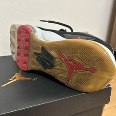 ナイキ　NIKE ジョーダンズーム'92の画像