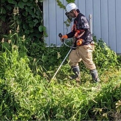 [8月〜10月末まで、1急募！　沖縄県内で、草刈り作業員募集]の画像