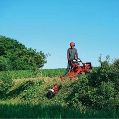 [8月〜10月末まで、1急募！　沖縄県内で、草刈り作業員募集]の画像