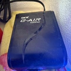 60水槽セット　ドイツイエローグッピーの画像