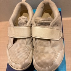 スクスクアシックス　上靴　の画像