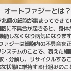 オートファジー