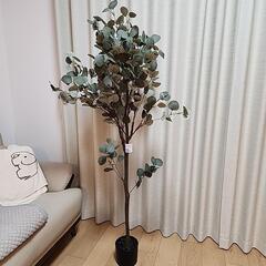 フェイクグリーン ユーカリ 高さ150cmの画像