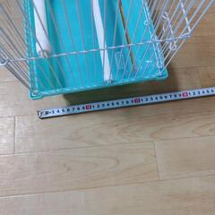 小鳥ケージ 使用感少なめ 綺麗ですの画像