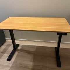 Flexispot e9 ナチュラルウッド　取扱説明書付