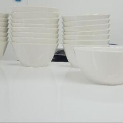 プラスチック麺器