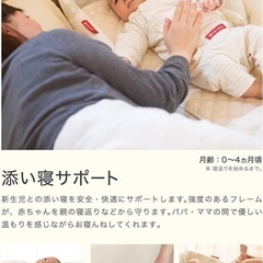 ファルスカ　ベッドインベッドの画像