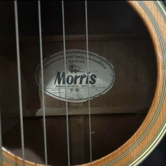 Morris W-20 アコースティックギターの画像