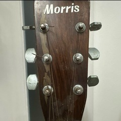 Morris W-20 アコースティックギターの画像