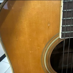 Morris W-20 アコースティックギターの画像