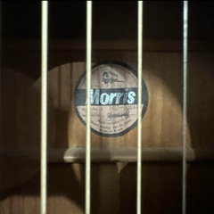 Morris アコースティックギター MD-506TSの画像