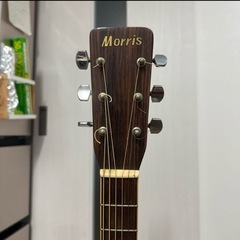 Morris アコースティックギター MD-506TSの画像
