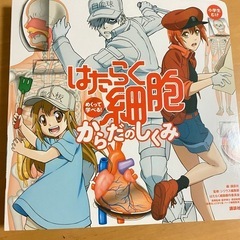 はたらく細胞　新品同様