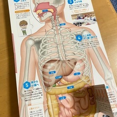 はたらく細胞　新品同様の画像
